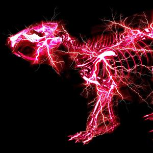 亚洲精品高清无码视频
