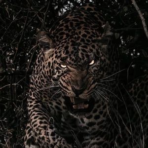 亚洲精品高清无码视频
