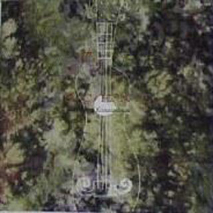 亚洲精品高清无码视频
